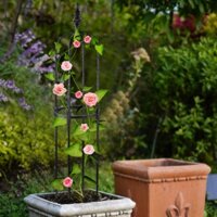 Chân Đế Cây Leo Khung Thép Không Gỉ Hình Chữ U Bền Hoa Hỗ Trợ Lồng Giá Đỡ Cho Rau Củ Nho Hoa Hồng Hình Chữ U Hộ Gia Đình Làm Vườn Tiếp Liệu