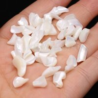 CHÂN ĐẾ GỖ giá gỗ 3 chân đựng vỏ sò - Đĩa ốc xà cừ đốt xô thơm Wooden Cobra Stand - 60gr xà cừ mài bóng