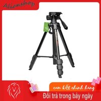 Chân đế tripod cho máy ảnh, điện thoại Benro T890, T880 EX, T800 EX, T660 EX, T600 EX quay phim, chụp hình