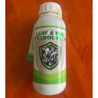 Chặn Đọt Già Lá, Giúp Cây Phân Hoá Mầm Hoa, Không Phát Đọt Khi Nuôi Trái Non