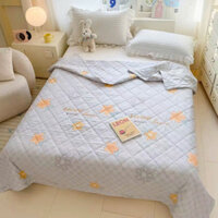 Chăn đũi hè thu cotton đũi siêu mềm , Chất liệu cotton đũi nhập khẩu mềm nhẹ tênh khi đắp kích thước rộng 2mx2m3 sh