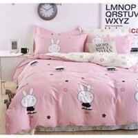 Chăn ga gối cotton lụa 100%