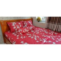 CHĂN GA GỐI cotton lụa satin Hàn Quốc 100%