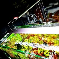 Chân Gác Đèn Đa Năng DIY Cao Đến 30cm - Chân gác nâng cao cho các loại đèn thuỷ sinh