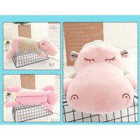 Chăn gối ôm 2 trong 1 siêu đáng yêu ( TK342)