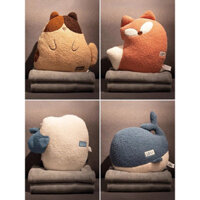 chăn gối văn phòng