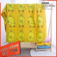 CHĂN HÈ 3 LỚP COTTON POLY ( được chọn mẫu )