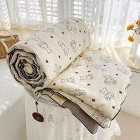 Chăn hè cotton đũi trần bông xơ đậu nành nặng 1,2kg