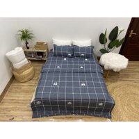 Chăn hè thu trần bông 3 lớp chăn bộ đội chất liệu cotton poly mẫu kẻ vương miện-drapbeding