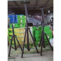 chân loa đứng Quý Đôn