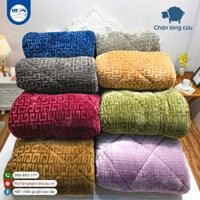 Chăn lông cừu chữ vạn đắp siêu âm nặng 3,3kg