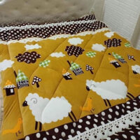 Chăn Lông Cừu đại hàn chăn lông nặng 2,5kg hoạ tiết hình hoa bắt mắt chăn giữ nhiệt tốt chăn lông cừu