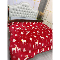 Chăn lông cừu Nhật Bản Yuki cao cấp