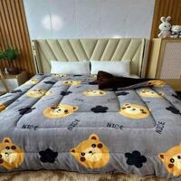 Chăn Lông Cừu Tuyết Yuki Sang Trọng Nặng 4kg Chính Hãng Chăn Dày Mịn To Siêu Ấm Kích Thước 2mx2m3