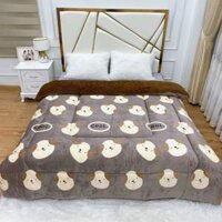 Chăn Lông Cừu YUKI Nhật Siêu ẤM [FREE SHIP] Mền Lông YUKI Dầy Dặn, Cao Cấp, Kích Thước 2M*2M3