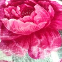 Chăn lông đẹp  4kg