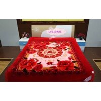 Chăn lông mềm mịn cao cấp 2-5kg