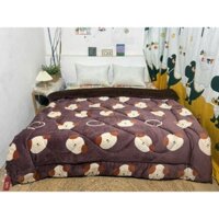 Chăn lông thỏ yuki,kích thước 2mx2m2,siêu ấm,mềm mịn