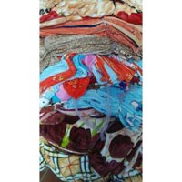 CHĂN LÔNG TUYẾT 2MX2M3