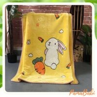 Chăn lông tuyết loại dày đắp mùa đông cho bé, chăn lông tuyết 2 lớp 95cmx125cm