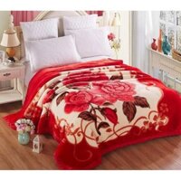 Chăn lông tuyết nhung cao cấp 2kg 3kg 4kg 5kg giá sỉ