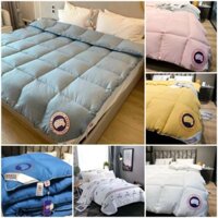 Chăn lông vũ muji ,chăn CaNada gooce.trọng lượng 3kg
