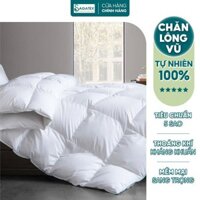 Chăn Lông Vũ Tự Nhiên SAGATEX Sang Trọng Mềm Mịn Cho Da Tiêu Chuẩn 5 Sao