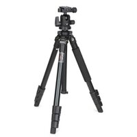 CHÂN MÁY ẢNH BENRO MINI TRIPOD A550FN1