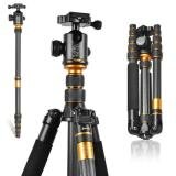 Chân máy ảnh chuyên nghiệp Tripod Beike – Q666-C