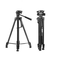 Chân Máy Ảnh EMAILY TRIPOD EM-3520