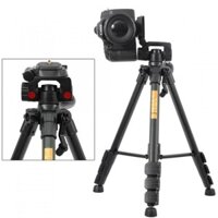 Chân máy ảnh Tripod Beike Q111 DMAX98