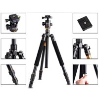 CHÂN MÁY ẢNH TRIPOD BEIKE Q999S VERSION II GIÁ RẺ TẠI HÀ NỘI hỗ trợ quay clip làm đồ ăn