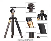 Chân máy ảnh Tripod/ Monopod BEIKE Q-999C