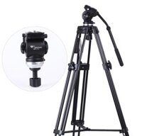 Chân máy quay phim Weifeng FT-717 1m80