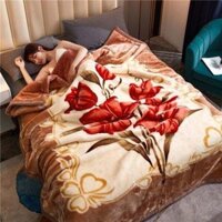 Chăn mền tuyết nhung 2 lớp loại dày siêu ấm cotton mền mịn 1,6mx2m bao đẹp cao cấp