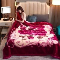 Chăn mền tuyết nhung 2 lớp loại dày siêu ấm mền mịn 2mx2m3