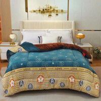 Chăn nỉ lông thỏ YUKI, chăn đại hàn siêu ấm xuất Nhật dày mịn không túi kích thước 2mx2m3