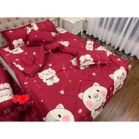 Chăn phao siêu nhẹ , siêu ấm,