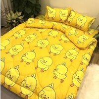 CHĂN PHAO SIÊU NHẸ VÀ ẤM MẪU VỊT VÀNG- SIÊU DỄ THƯƠNG- ĐỦ MẪU LỰA CHỌN IB CHỌN MẪU evily1990