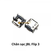 Chân sạc thay loa JBL Flip 3