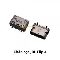 Chân sạc thay loa JBL Flip 4
