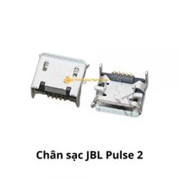 Chân sạc thay loa JBL Pulse 2