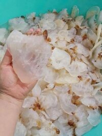 Chân sứa - túi 1kg
