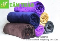 Chăn Thái Lan lông mỏng 1.6x2.2 (m) (TT270)