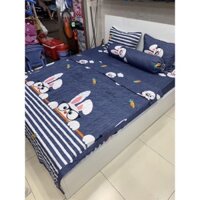 CHĂN TRẦN BÔNG HÈ THU COTTON POLY-MẪU MỚI VỀ