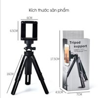 Chân Tripod Chụp Ảnh, Quay Phim, Livestream 3 Chân Đứng Kẹp Điện Thoại