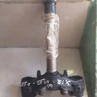 Chảng ba sirius trung quốc ( chẳng ba)