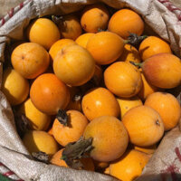 Chanh Dây Colombia – Đặc Sản Đà Lạt Ngọt Thanh