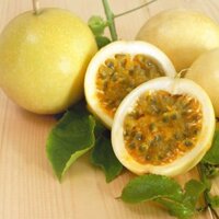 Chanh dây vàng ngọt hương ổi