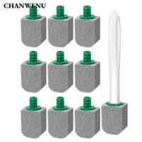 Chanwenu 10 Cái Vệ Sinh Bát Bụi, Vệ Sinh Sâu Cây Đũa Phép Vệ Sinh Đổ Lại Bàn Chải Bụi Phòng Tắm, Có Tay Cầm Dài Đá Pumice Máy Chà Vệ Sinh Gia Đình